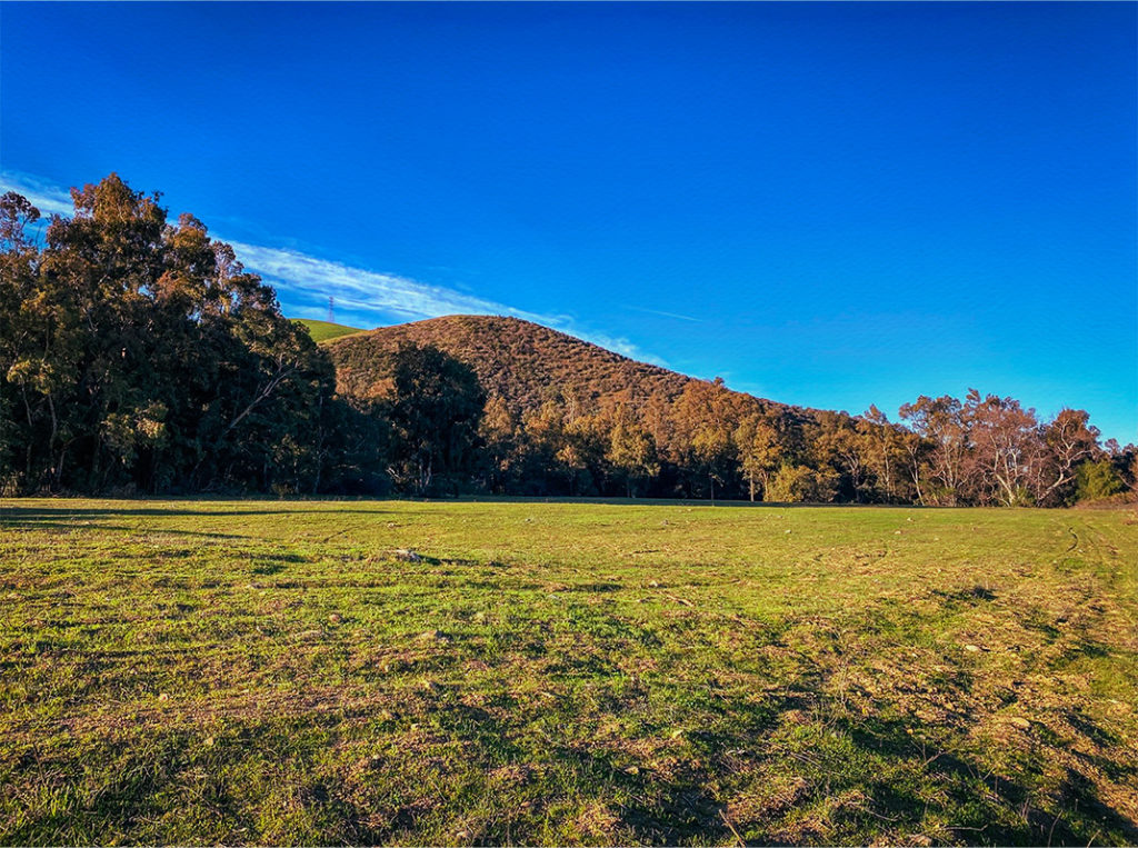 Zen-Inspired Senior Living community site in Simi Valley