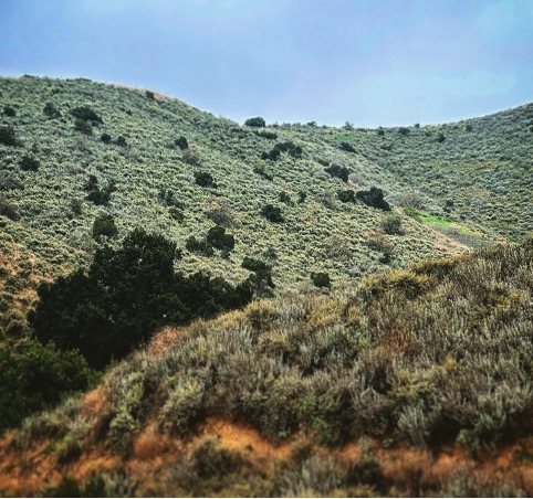 Move to Simi Valley, California