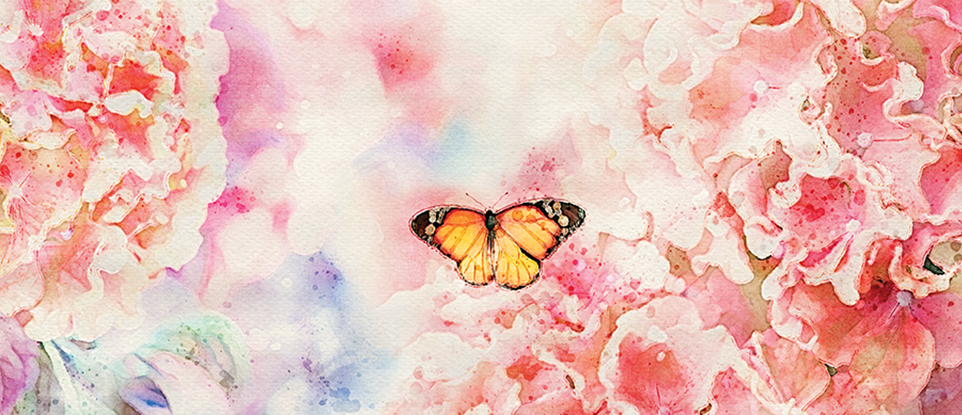 watercolor butterfly