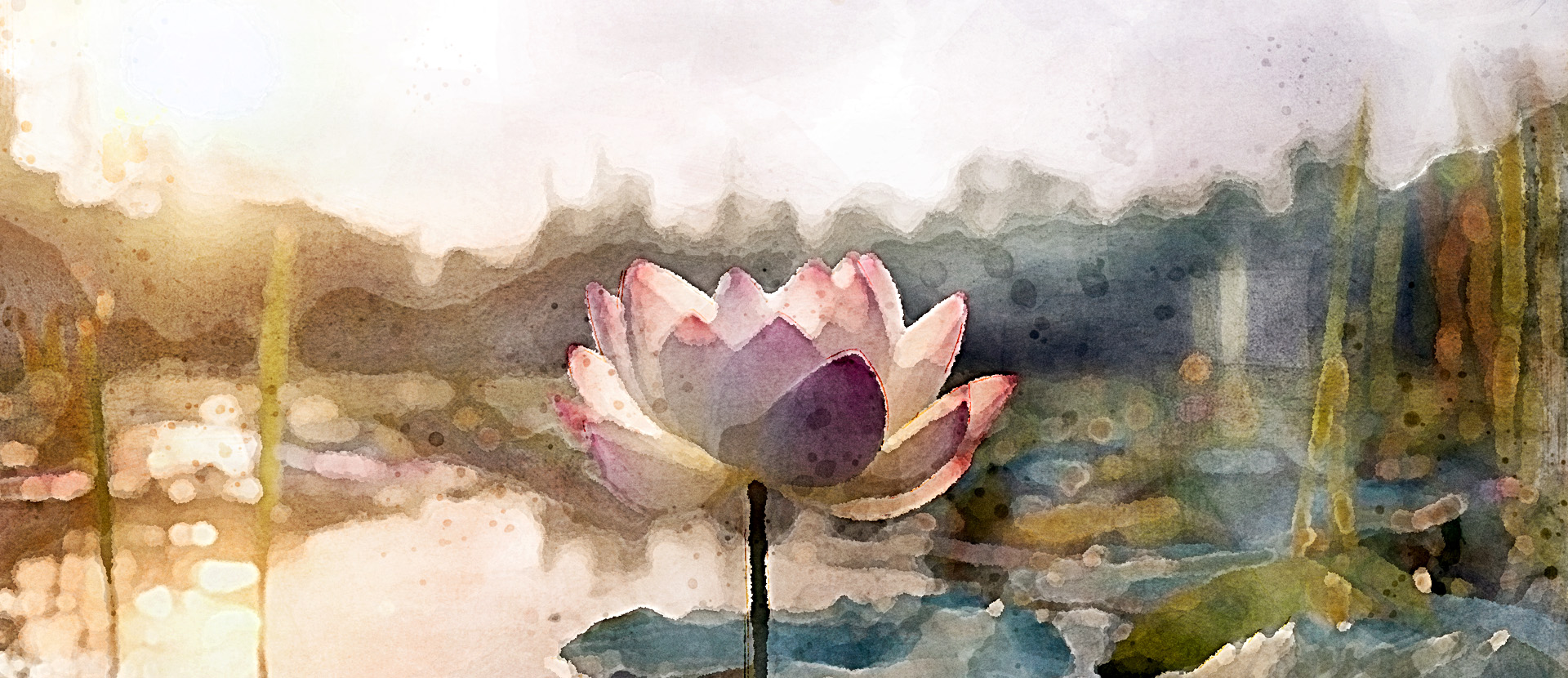 watercolor flower